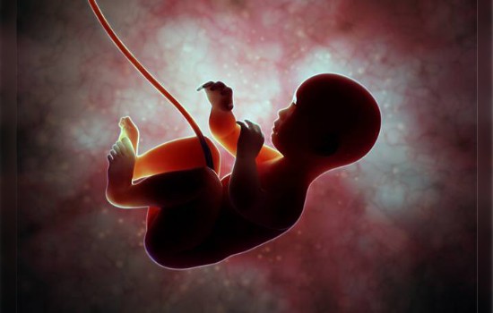 Perjanjian Allah SWT dengan Manusia sebelum lahir ke&nbsp;Dunia