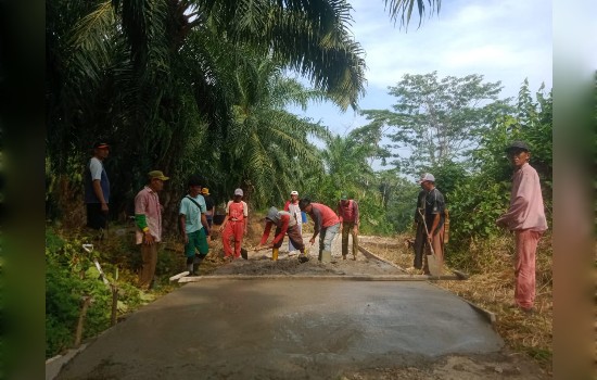 Jalan Perkebunan Hamparan Labu Kembung Batu Belawang Di&nbsp;Bangun