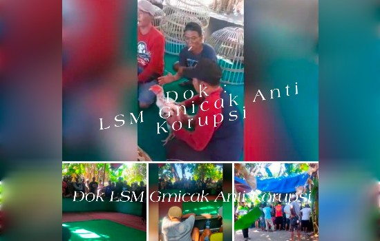 Aktifitas Perjudian 303 Sabung ayam di Desa Klurak, Kecamatan Candi Belum di Endus Polres Sidoarjo, Polda&nbsp;Jatim